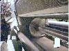  FEHRER Slitter, 4.3 M (170") wide,